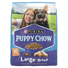 Purina Puppy Chow Large Breed dry dog food bag, 30 lb, front view