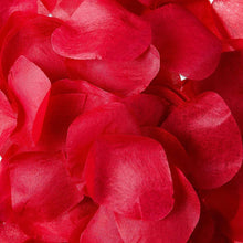 Artificial rose petals, red, close-up