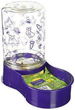 Rabbit water feeder fountain with clear cylinder top and purple base dish