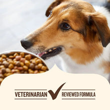 Nutrish dog food marketing card with tan dog face, kibble bowl, veterinarian reviewed formula