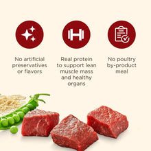 Nutrish product benefits icons and real beef pieces with peas and carrots graphic