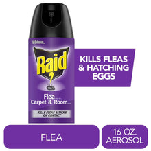 Purple Raid flea carpet and room spray aerosol can with black nozzle, 16 oz.