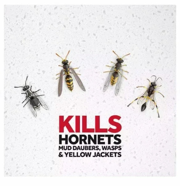 Raid Wasp & Hornet Killer 3ct, 17.5 oz.