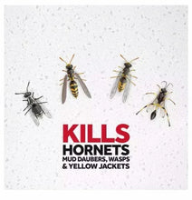 Warning graphic with hornets, wasps, and yellow jackets around 'KILLS HORNETS'
