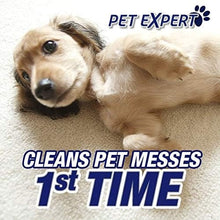 Tan puppy lying on carpet in a pet cleaning promotion