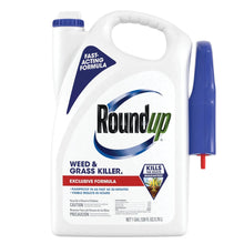 Roundup weed & grass killer jug with fast-acting formula, plus sprayer