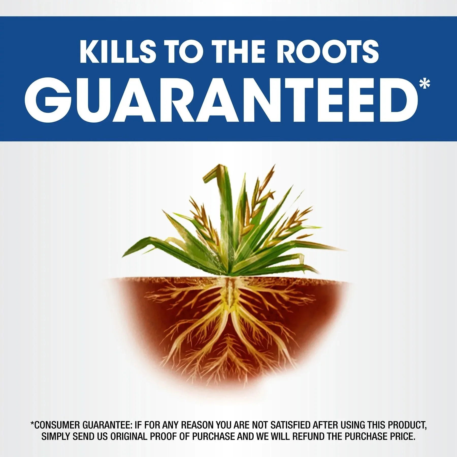 Roundup Weed and Grass Killer4 with Trigger Sprayer, 1 gal.
