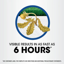 Weed killer visible results graphic with leaves icon and '6 HOURS' text