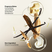 Shea butter and cocoa butter ingredient illustration for nourishing lotion