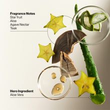 Aloe vera ingredient with lotion bottle and green fruit accents
