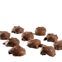 Milk chocolate pecan caramel clusters, small bite-size pieces