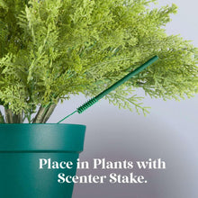 Green scented stick ornament stake placed in a teal planter with evergreen foliage