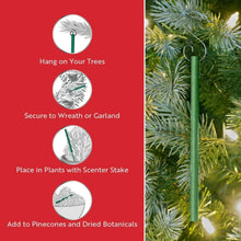 Green scented stick ornament stake with hanging loop on an evergreen branch
