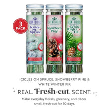 Scentsicles 3-pack scented stick ornaments set of three bottles with winter-themed labels