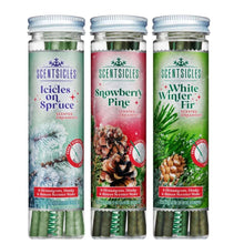 Scentsicles 3-pack scented stick ornaments in bottles, with pine fir and winter labels