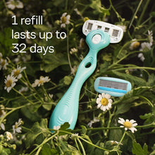 Turquoise razor standing in a field of small yellow flowers