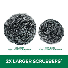 Two coiled stainless steel scrubbers, extra large and standard size pads