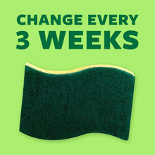 Dark green scrub sponge with change every 3 weeks graphic