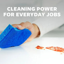 Hand holding a blue scrubbing sponge with “CLEANING POWER FOR EVERYDAY JOBS” text