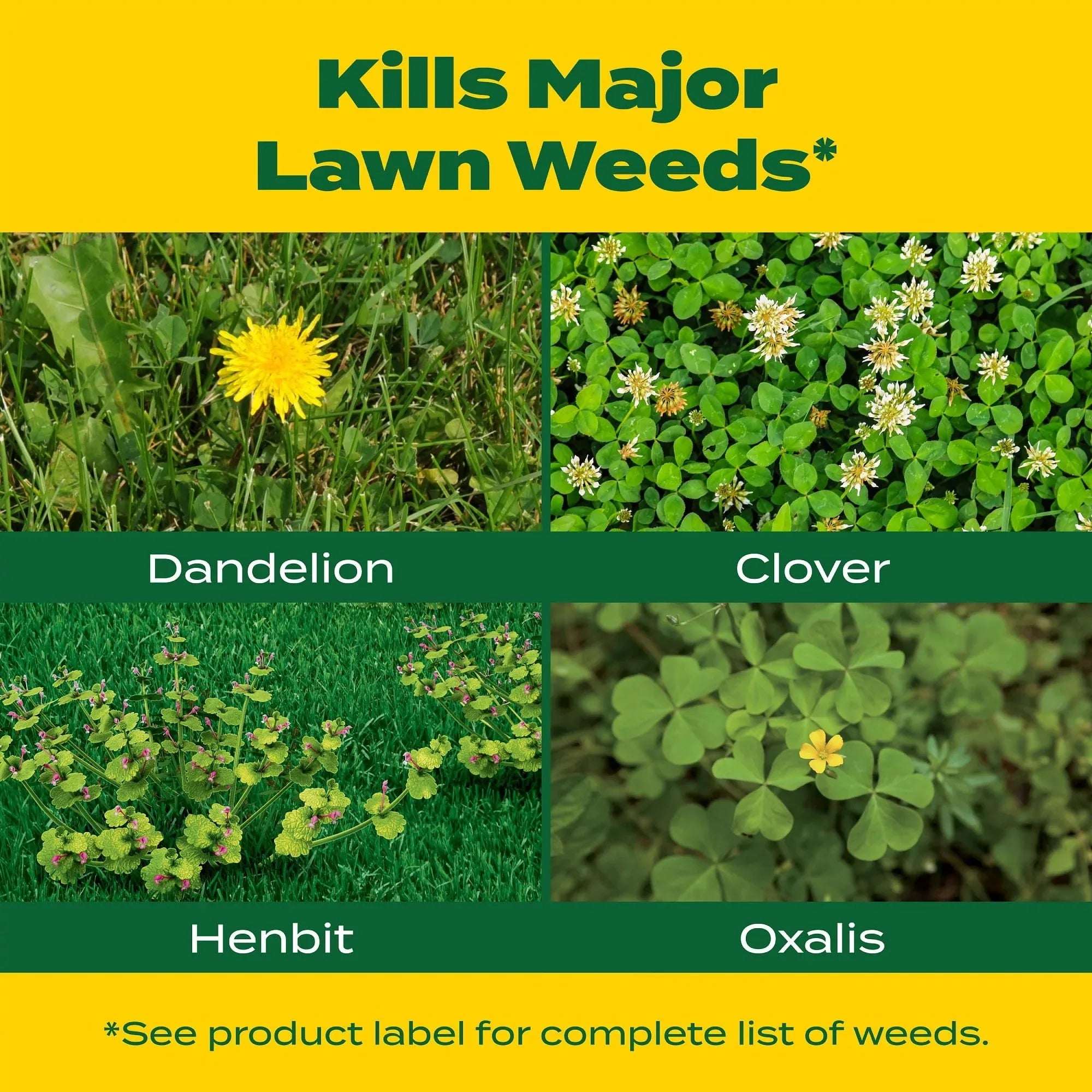 Scotts Liquid Turf Builder with Plus 2 Weed Control, 32 oz., 6,000 Sq. ft.