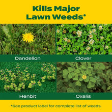 Lawn weeds comparison graphic showing dandelion, clover, henbit, and oxalis