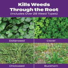 Weed types chart showing dollarweed, clover, chickweed, and buckhorn