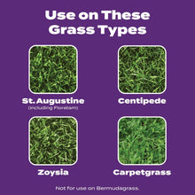 Grass types guide for St. Augustine, Centipede, Zoysia, and carpetgrass