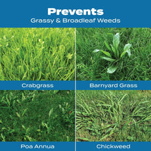 Weed prevention comparison chart with crabgrass, barnyard grass, poa annua, and chickweed