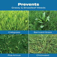Scotts Turf Builder, Halts Crabgrass Preventer with Lawn Food