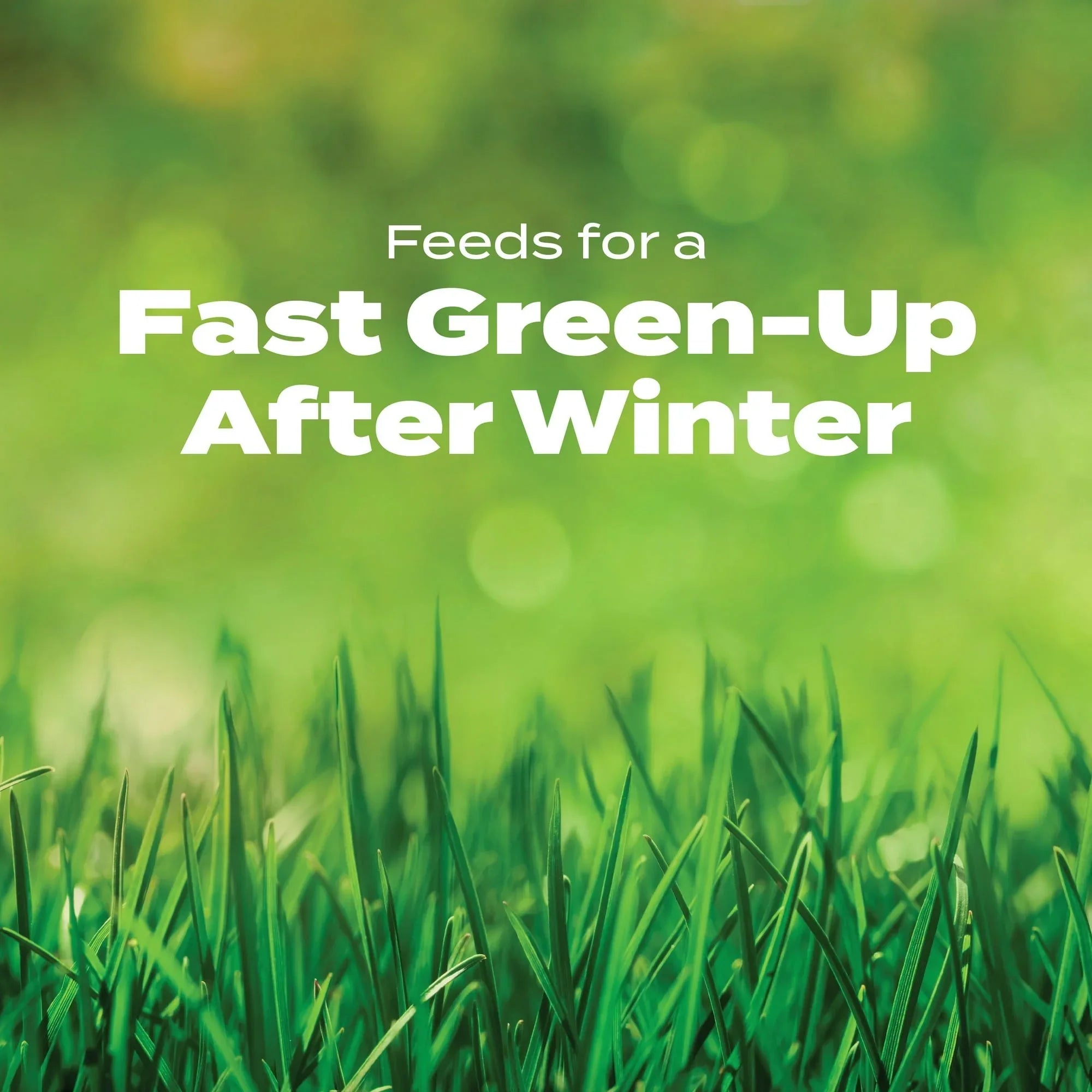 Scotts Turf Builder, Halts Crabgrass Preventer with Lawn Food
