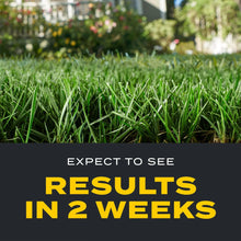 Green grass lawn with Scotts Turf Builder Triple Action results timing instruction