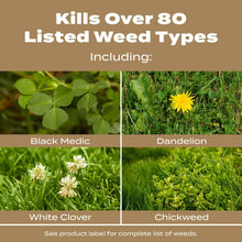 Promotional panel listing weed types with close-ups of clover, dandelion, medic, chickweed