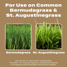 Label panel showing Bermuda grass and St. Augustinegrass use, with green lawn photos