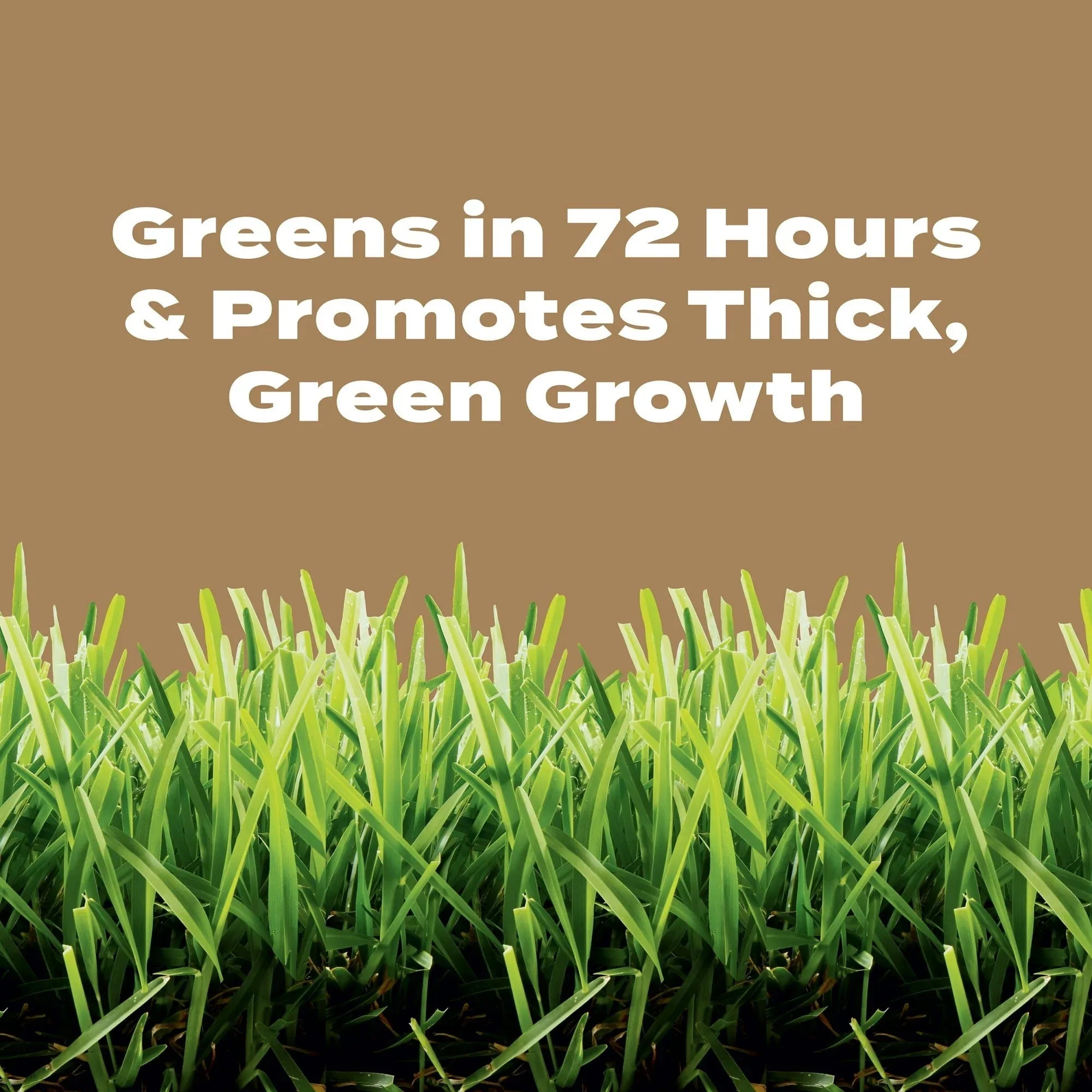 Scotts Turf Builder Weed & Feed for Texas Lawns, Weed Killer Plus Lawn Fertilizer, 22.40 lbs.