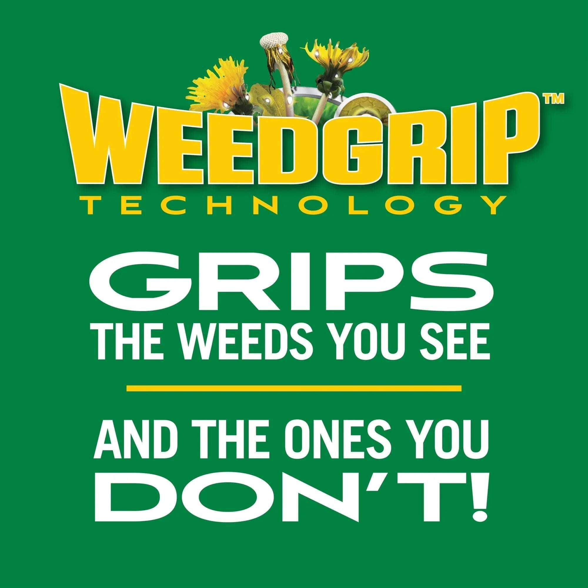 Scotts Turf Builder Weed and Feed, Controls Dandelion, Clover