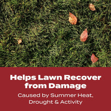 Green lawn grass with fallen leaves and text 'Helps Lawn Recover from Damage'