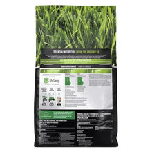 Scotts MAX Southern lawn food bag back panel with directions and ingredients text