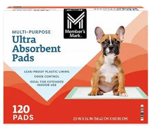 Multipurpose ultra absorbent training pads box, 120-count, 23 x 24 in