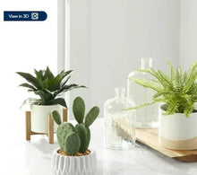 Artificial agave plant in white ceramic pot with faux succulents