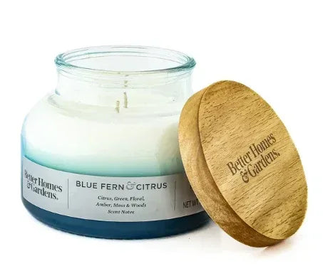 Better Homes & Gardens 18oz Blue Fern & Citrus Scented 2-Wick Ombre Bell Jar Candle