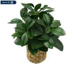 Artificial peperomia plant with lush green leaves in woven wicker basket