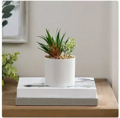 Mainstays 6.8” Artificial Mixed Succulent Plants in White Planter Pot