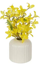 Artificial yellow forsythia in ribbed off-white ceramic vase