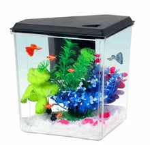 Aqua Culture 1-gallon plastic aquarium with black lid, colorful plants and fish
