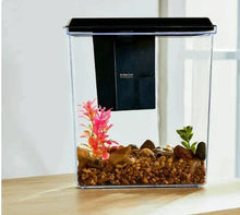 Aqua Culture 1-gallon plastic aquarium with black lid, gravel and plants