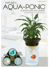 Penn Plax Aqua-Ponic aquaponic betta fish tank with plant and orange fish