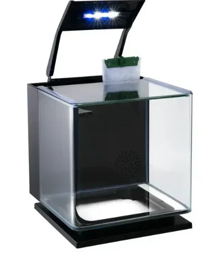 GloFish Betta Glass Aquarium Kit 3 Gallons, Includes LED Lighting and Filter