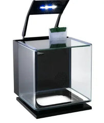 GloFish Betta Glass Aquarium Kit 3 Gallons, Includes LED Lighting and Filter