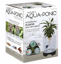Hydroponic planter and fish habitat box with green plant and product graphics