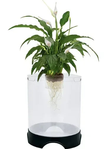 Penn-Plax Aqua-Ponic Betta Tank & Hydroponic Planter – Promotes a Healthy Environment for Plants and Fish – 1.4 Gallon